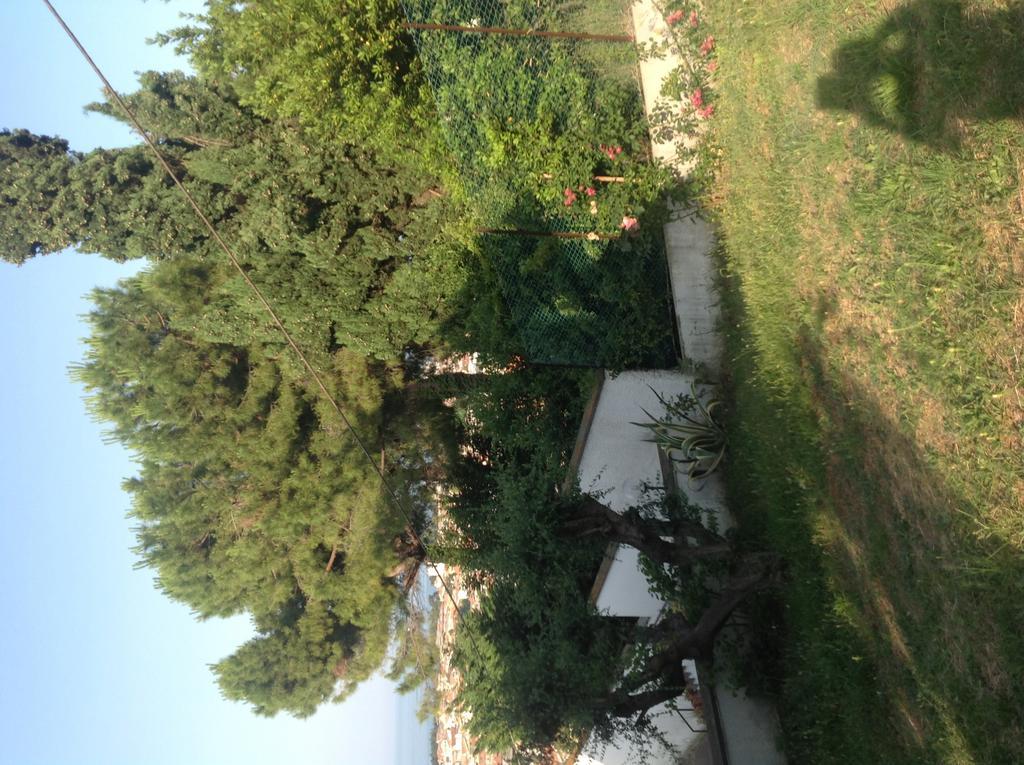 B&B Villa Aersa Montesilvano Bagian luar foto